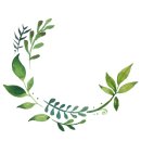 홉스(HOPS) 이미지