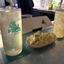 Frog(프로그) 이미지