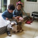 이창훈 동물병원 이미지