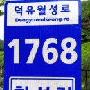 분설담화장실 이미지