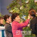 소망의 나무 이미지