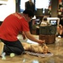 독특하개 이미지