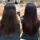 마포-서교-마포-3147 | 홍대미용실 준오헤어 홍대서교타워점 염색 커트 진주 디자이너 후기