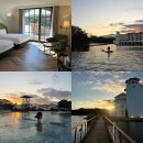 호텔캐슬 | 제주 에코렌드 호텔 디럭스 트윈 캐슬, 수영장 후기