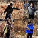 파티수수