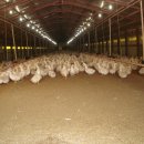 세지농장 이미지