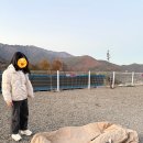 가야산오토캠핑장 | (내돈내간) 25년 신생 가야산뷰오토캠핑장에 다녀왔어요~! 솔직한 후기!