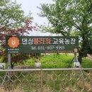 댄싱플라워교육원