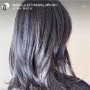 데일리수 이미지