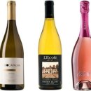 베스트 오브 벨리 이미지