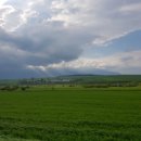 너른초원 이미지