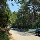 지내마을길 이미지