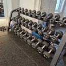 매드볼릭 이미지