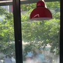 프레퍼스다이어트푸드 이미지