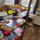 티앤티(주) | [2026 대마도 #1] 이정도면 명예 히타카츠 시민, 다시 찾은 대마도 방문기 1편! <달라진 히타카츠와...