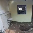 나무안에서 이미지