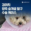 양산 동물병원 양측 슬개골 탈구 교정 수술 후기