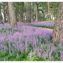 문장대야영장 공중화장실 이미지