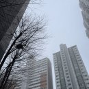 정인 행정사 사무소 이미지