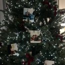 스테이 무 이미지