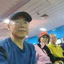덕적도·소야도 Daum카페