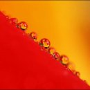 새벽이슬 이미지