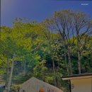 동해소금길펜션 | 신흥동펜션 동해소금길펜션 자연 속 가족 독채