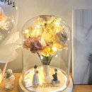 켈리플레르 이미지