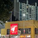 열정의 닭 이미지