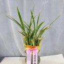 미음산단로 이미지