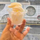 대궐갈비 | 부산 화명동 맛집 대궐 갈비 돼지갈비 찐 후기ㅣ 점심 모임 + 메타 그린 골드 플러스까지 완벽한 하루