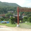 김교유 티스토리