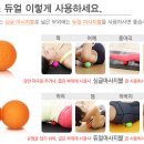 철트레이닝 이미지
