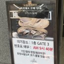 뉴발란스키즈대전점 | 뉴발란스키즈 프리들엑스 오픈런 성공후기