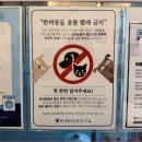 버블맨24부평십정동점 네이버블로그