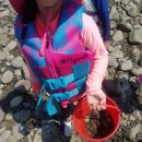 시밀레펜션 이미지