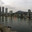 운문댐하류보1 이미지