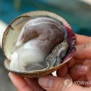 맛따라길따라 이미지
