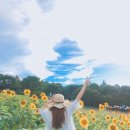 만나가든 이미지