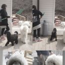 성준민박 이미지