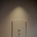스시키츠네