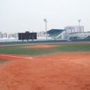 탄천종합운동장 탄천야구장 이미지