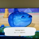 밀린 작년 하반기의 일상