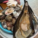 켁터스커피일등복권 | [충남/당진] 삽교호 당일치기 여행 | 아산 복권명당, 인주카페 한옥점, 조개구이 맛집 조개사랑, 삽교호...