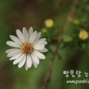 기다림의집