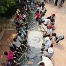 족욕체험장 정기공연 이미지