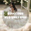오작교플라워 | 울산UCC컨벤션 웨딩홀 4곳 투어 후기! 예비신부가 직접 보고 온 솔직 리뷰♥