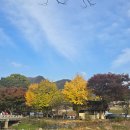 상전 | 외암민속마을 &lt;상전&gt; 파전 먹으러 다녀왔어요 내돈내산 방문후기
