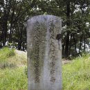 서울 초안산분묘군 이미지