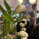 [상암] DMC타워웨딩 웨딩홀 그랜드볼륨홀 투어후기